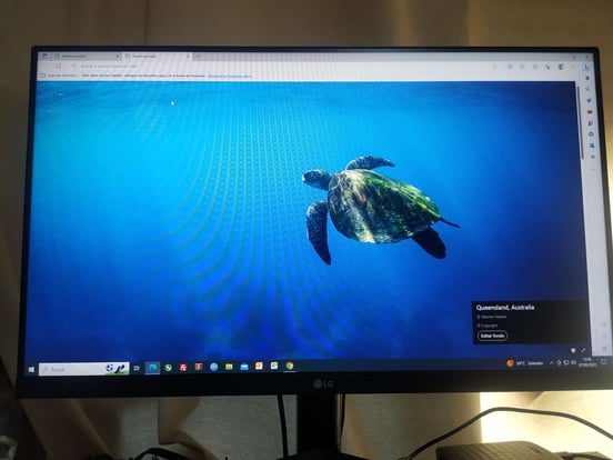 Monitor LG 25MS500-B 24.5