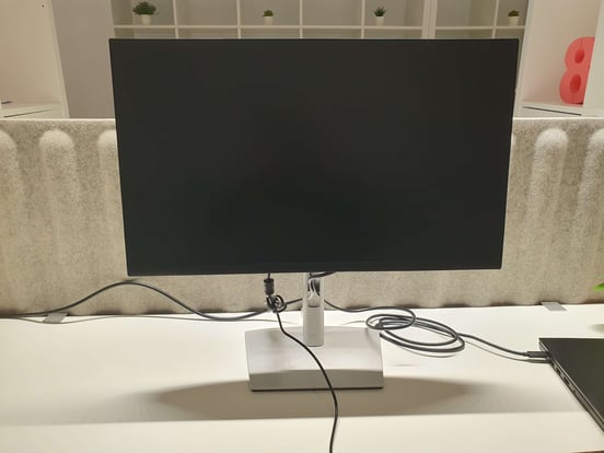 Dell P2422HE 23.8