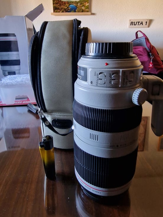 Canon EF 100-400mm F4.5-5.6L IS II USM | PcComponentes.com