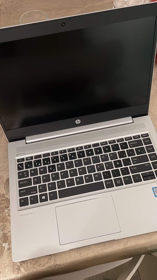 Portátil HP ProBook 440 G6 Intel Core i5-8265U/8GB/256GB SSD/14